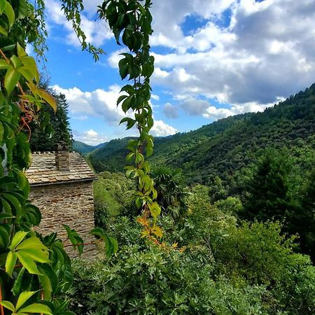 Gite De Combelebouze En Cevennes - Cosy, Confort Et Climatise - 3 Etoiles Saint-Privat-de-Vallongue Exterior photo
