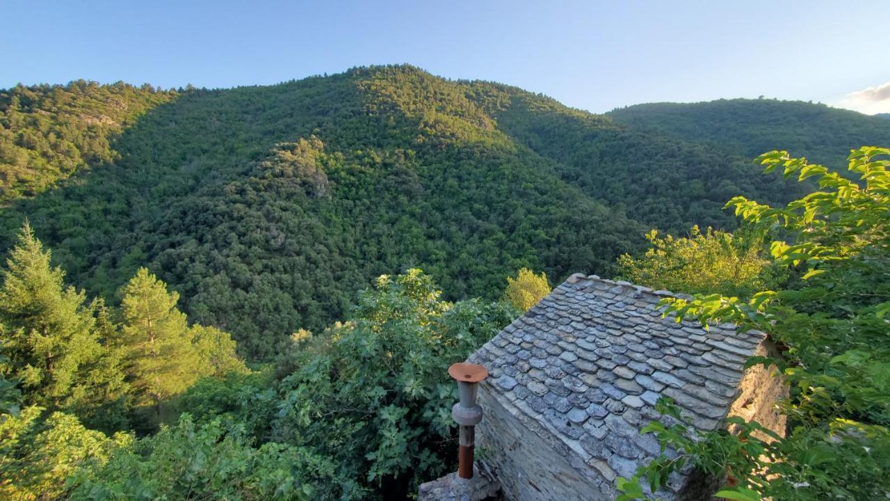 Gite De Combelebouze En Cevennes - Cosy, Confort Et Climatise - 3 Etoiles Saint-Privat-de-Vallongue Exterior photo