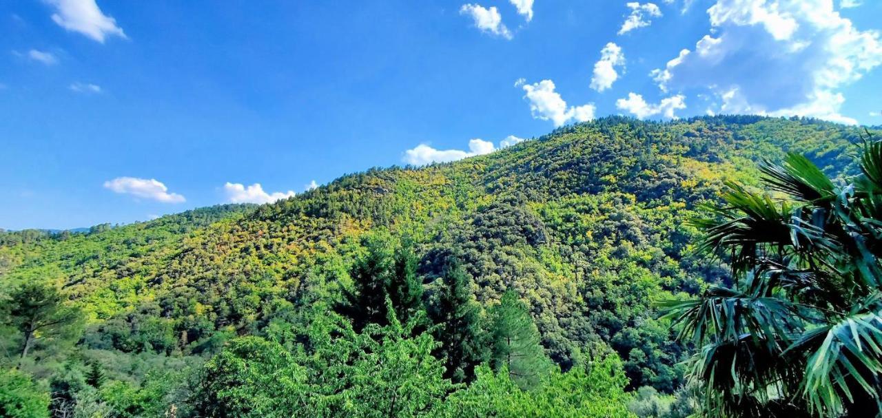 Gite De Combelebouze En Cevennes - Cosy, Confort Et Climatise - 3 Etoiles Saint-Privat-de-Vallongue Exterior photo