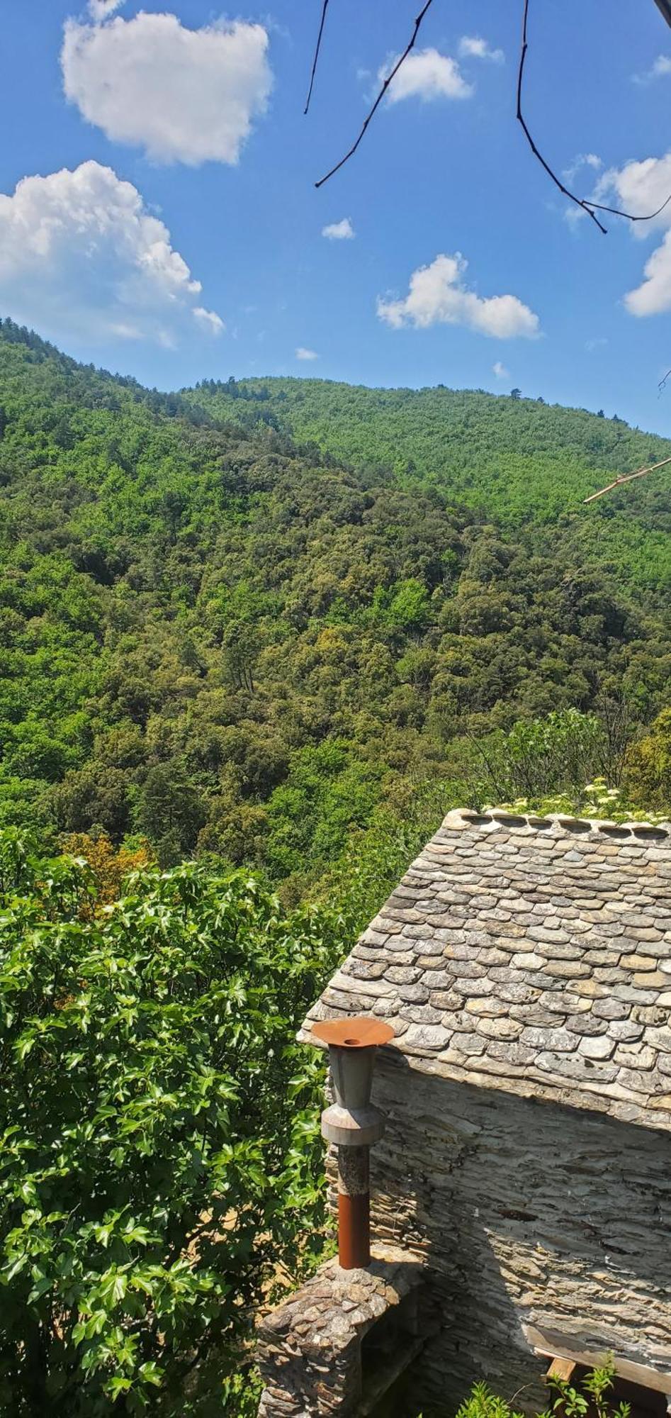 Gite De Combelebouze En Cevennes - Cosy, Confort Et Climatise - 3 Etoiles Saint-Privat-de-Vallongue Exterior photo